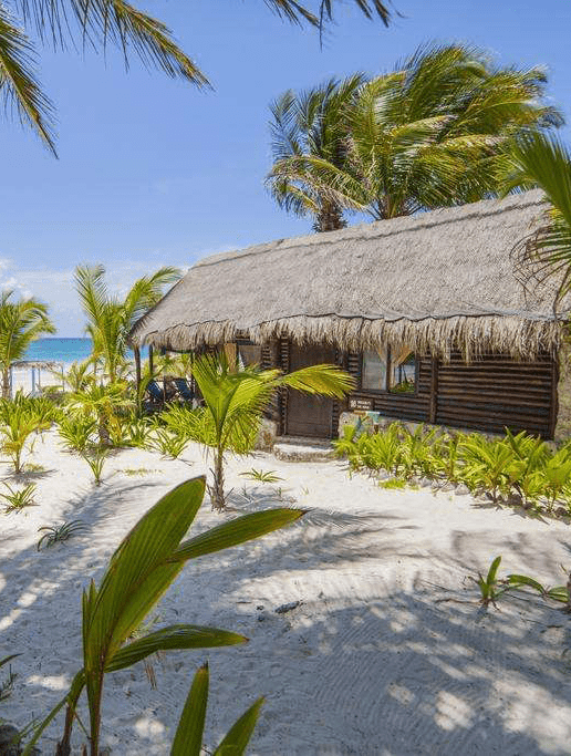Mestizo Gallery Boutique Hotel